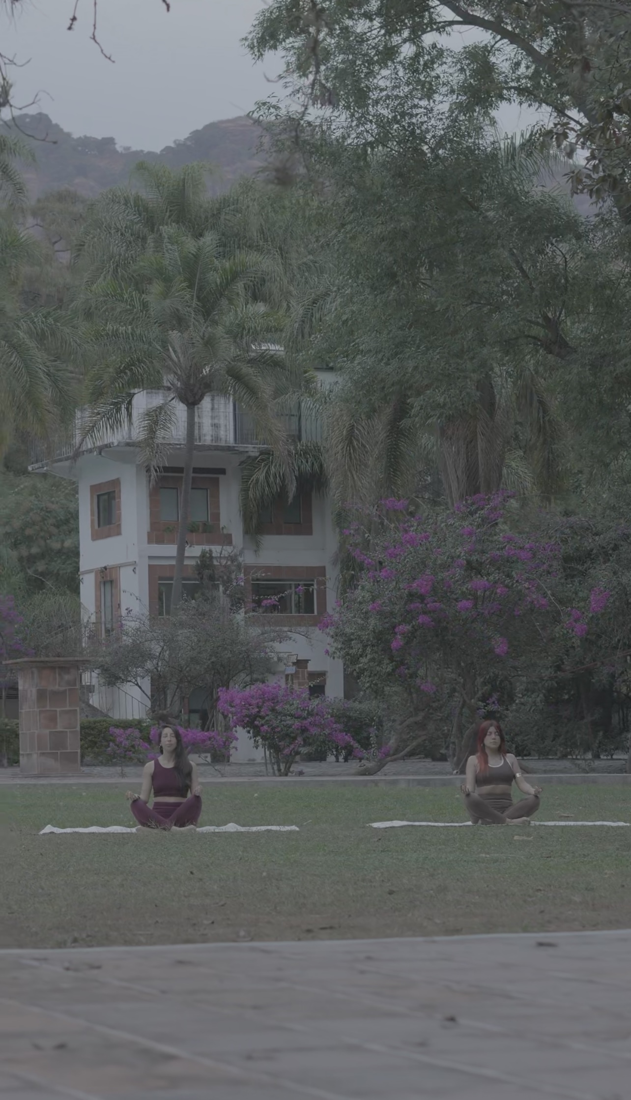 Personas meditando en las montañas de Tepoztlán